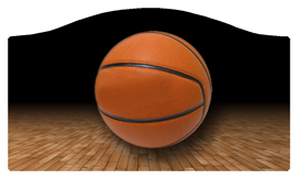 DASHELL-348-BK Basketball